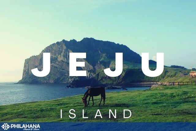 [US] Beautiful Jeju island 2Nights 3Days (Bilingual tour guide)KR001